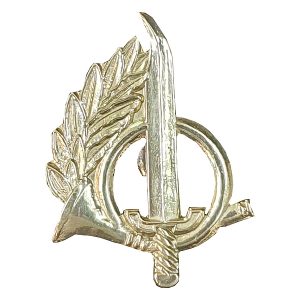 Pin OE