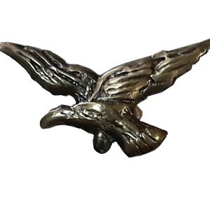 Águia força aérea